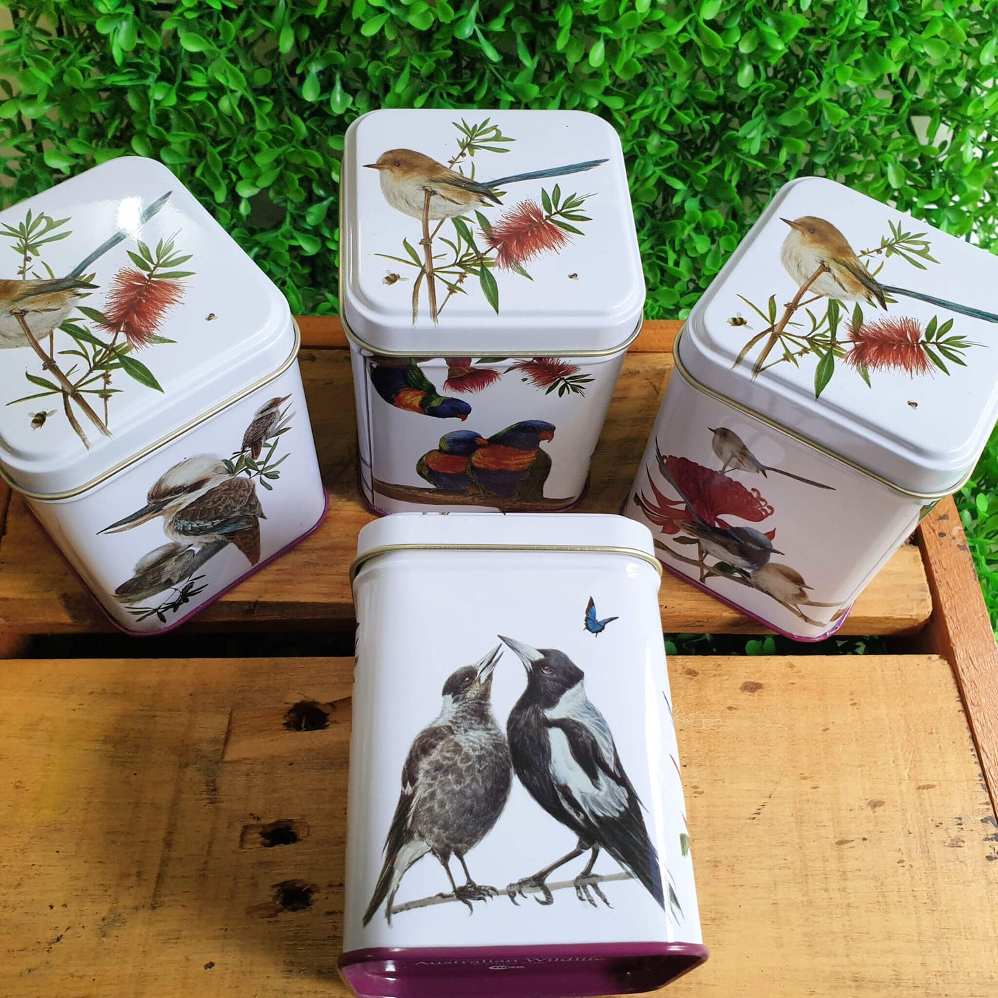Australian Birds Tea Tin with Magpies, kookaburras 70mm x 70mm x 95mm
