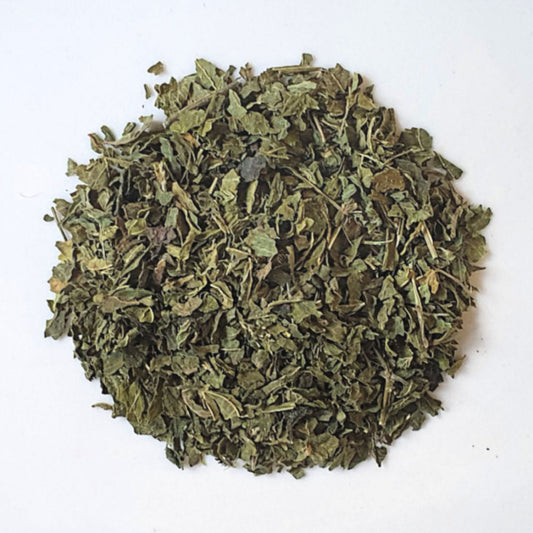 Organic Nettle Leaf Herbal Infusion